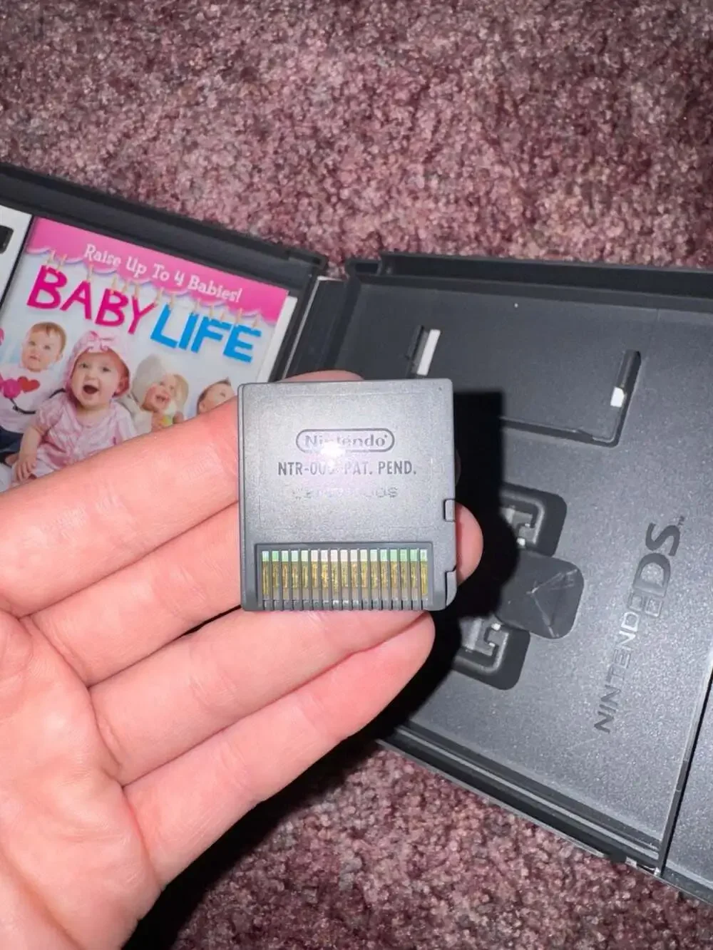 Baby Life Nintendo DS Game Tested Works